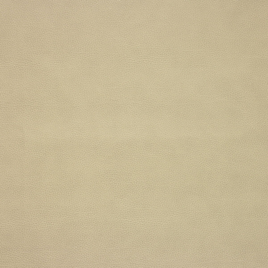 Samples and Purchasing available for Kravet Design - Loris-106 Beige By Kravet Design |  | Texture Upholstery Vinyl/Faux Leather at Designer Wallcoverings and Fabrics