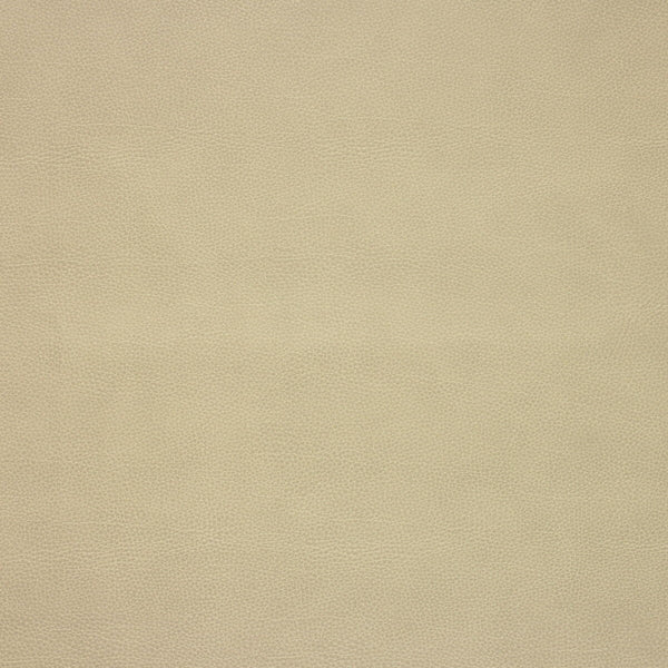 Samples and Purchasing available for Kravet Design - Loris-106 Beige By Kravet Design |  | Texture Upholstery Vinyl/Faux Leather at Designer Wallcoverings and Fabrics