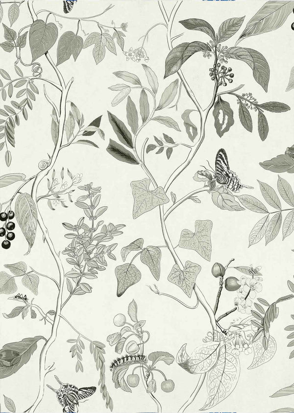 Diderot Grey, Roll Vinyl Wallcoverings | Coordonné