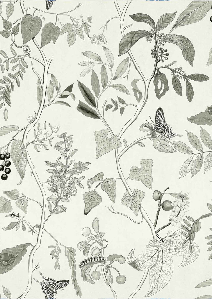 Diderot Grey, Roll Vinyl