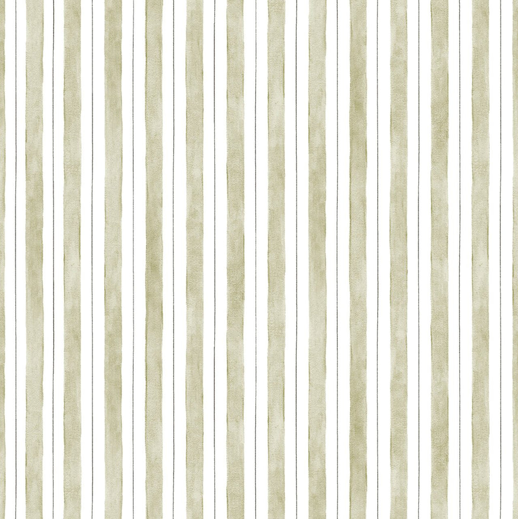Colonial Olive, Roll