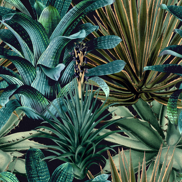 Lush Succulents - Black, Green Wallcovering | Mind the Gap