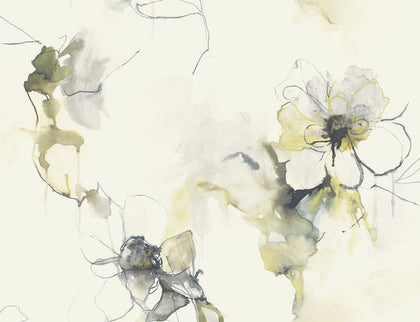 Anemone Watercolor Floral Contemporary Floral - Dark Ash and Canary | Architectural Wallcoverings