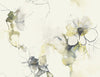 Malibu Anemone Watercolor Floral Wallpaper - Contemporary Floral - Dark Ash and Canary | Malibu Wallpaper