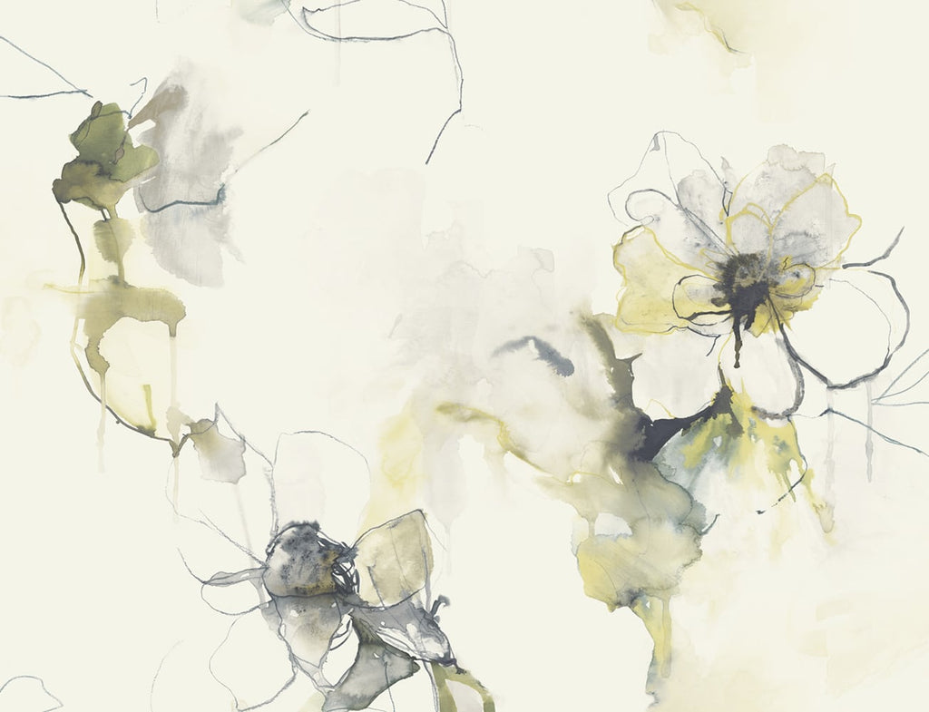 Malibu Anemone Watercolor Floral Wallpaper - Contemporary Floral - Dark Ash and Canary | Malibu Wallpaper