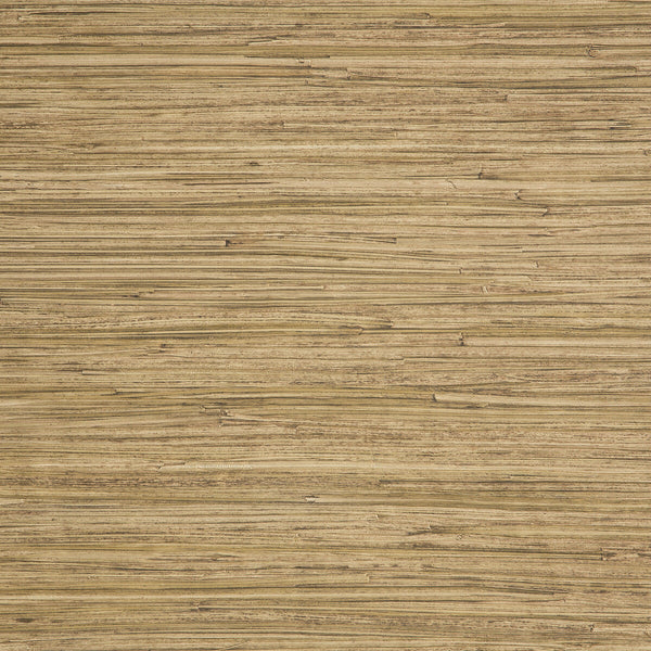 Enea - 5 Yellow | Kravet Design | Lizzo |Modern Texture Wallcovering