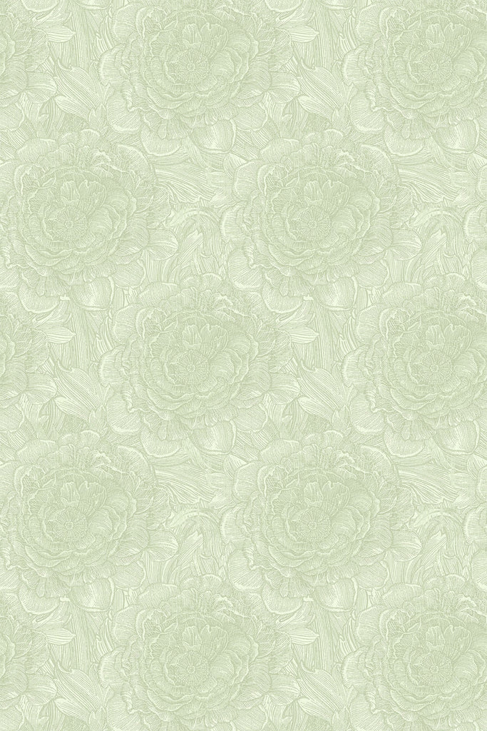 Large Tudor Rose Soft Lime