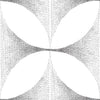 Lattice White