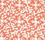 Pale Peach on White