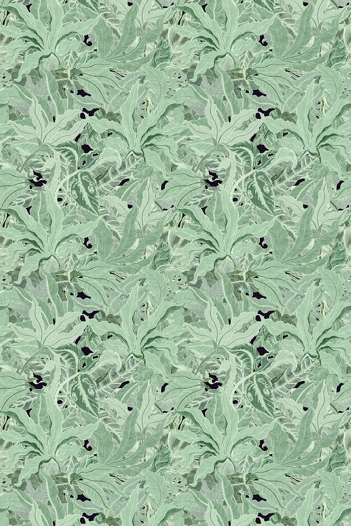 Leaforia Serpentine