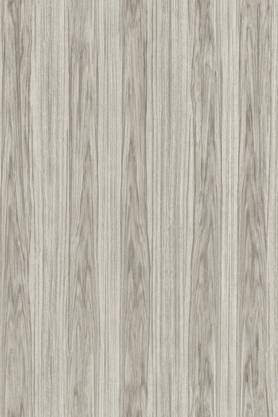 Roots Stria Wood taupe Wallpaper | Arte Europe