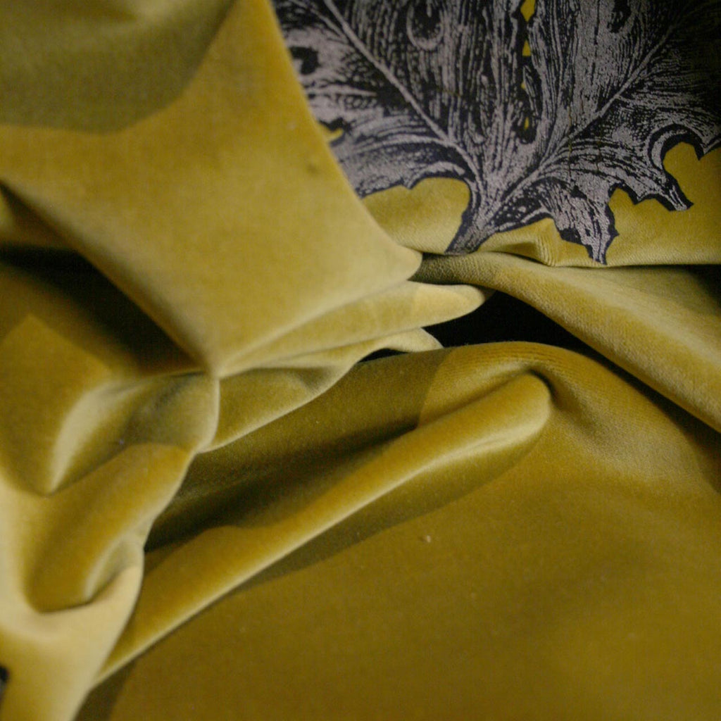Little Thistle Velvet Black & Gold on Aubergine
