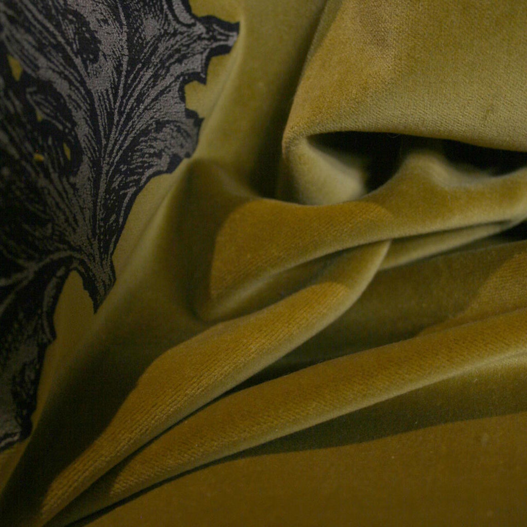 Little Thistle Velvet Black & Gold on Olive