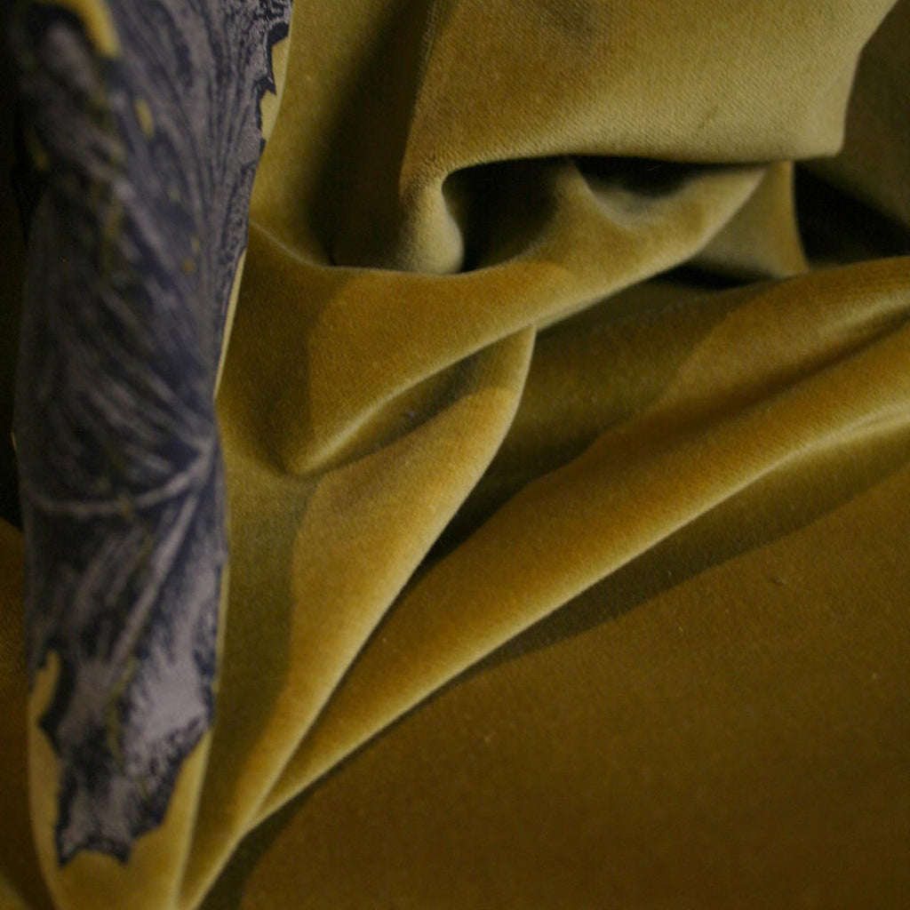 Little Thistle Velvet Black & Gold on Aubergine