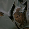 Little Thistle Velvet Black & Gold Mole
