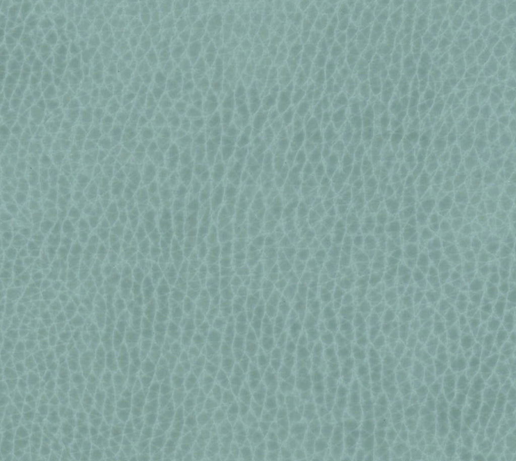 Lilikoi Wallcovering | Phillipe Romano