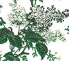 Louisa Floral, Multi with Dark Green