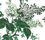 Louisa Floral, Multi with Dark Green