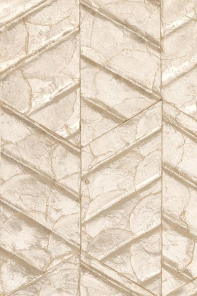 Lucea Capiz Shells Coquille Wallpaper | Arte Europe