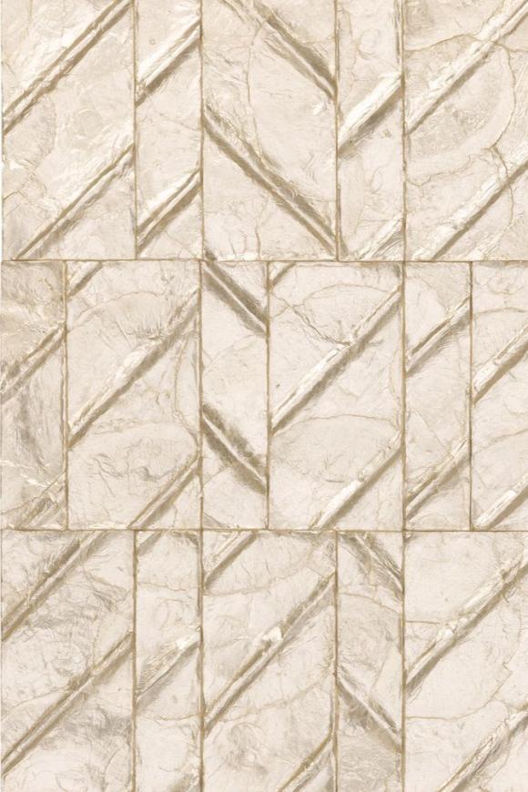 Perula Coquille Coquille | arte - Image 2