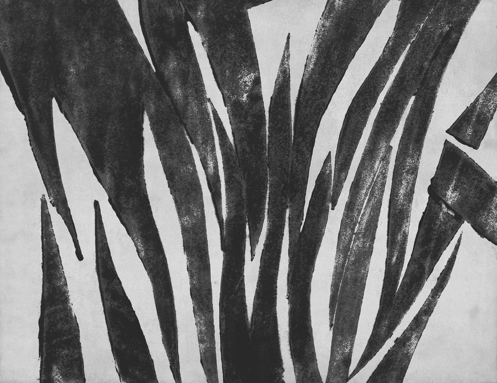 Exclusively at Designer Wallcoverings and Fabrics