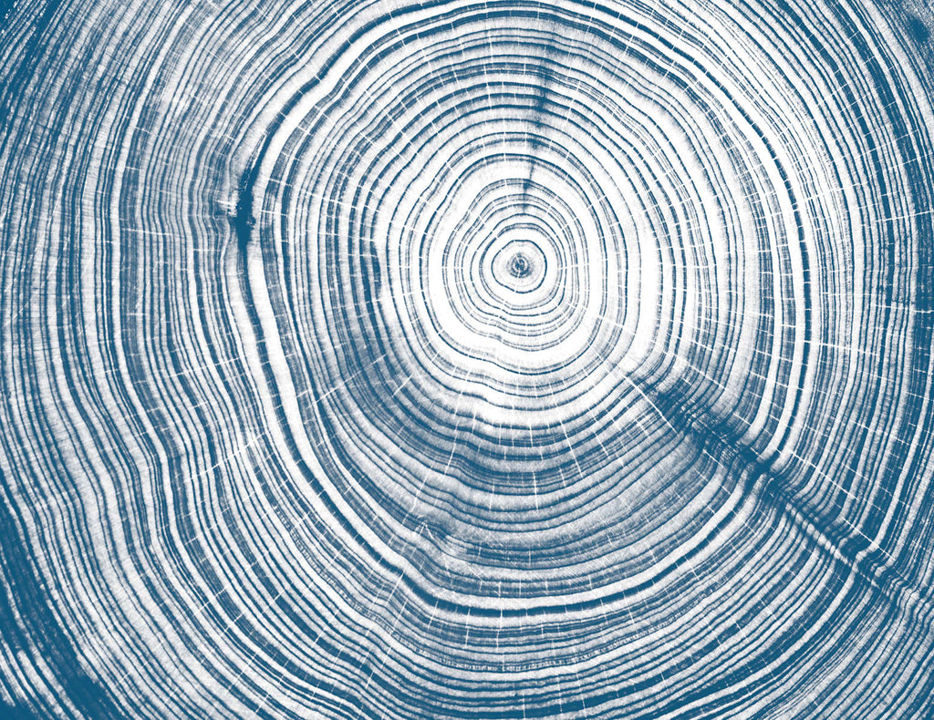 Exclusively at Designer Wallcoverings and Fabrics