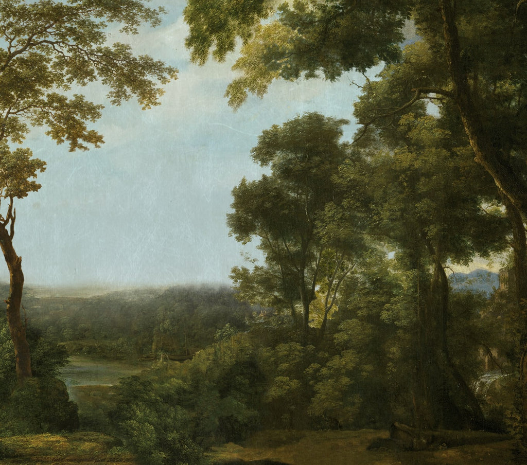 Exclusively at Designer Wallcoverings and Fabrics