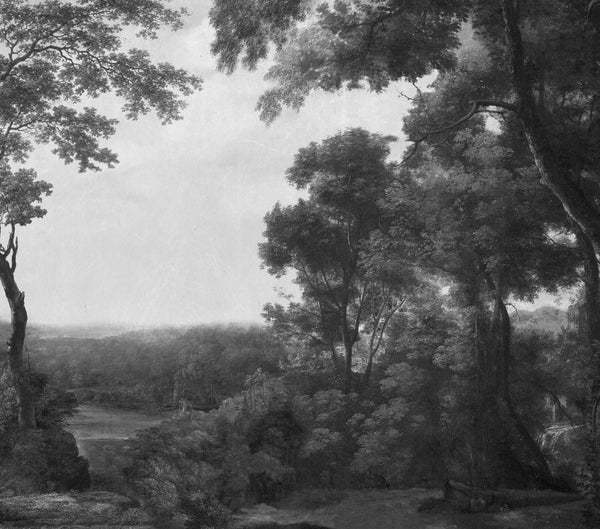 Exclusively at Designer Wallcoverings and Fabrics