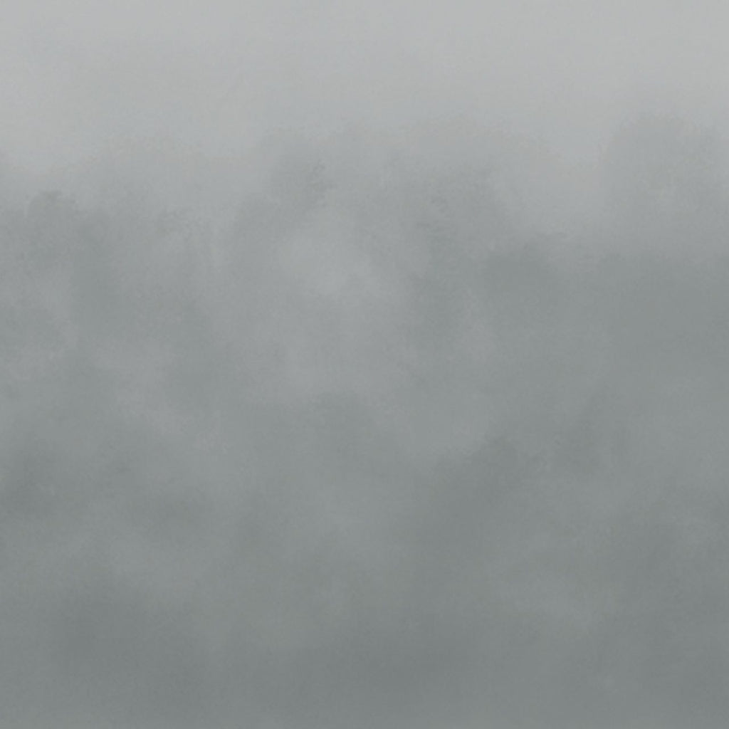 Néboa Grey, Made to Measure Mural Type II