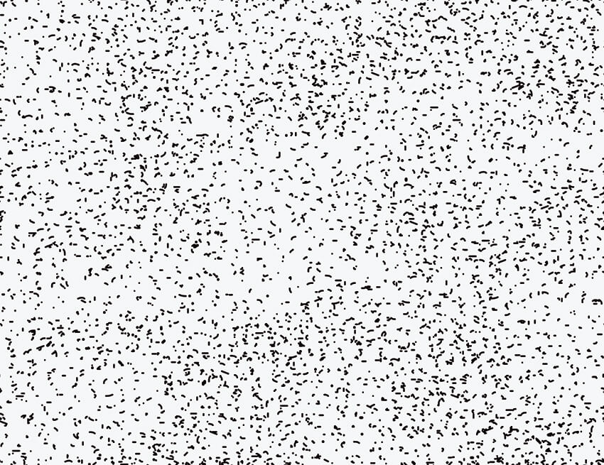 Esmorga Black, Made to Measure Mural Type II