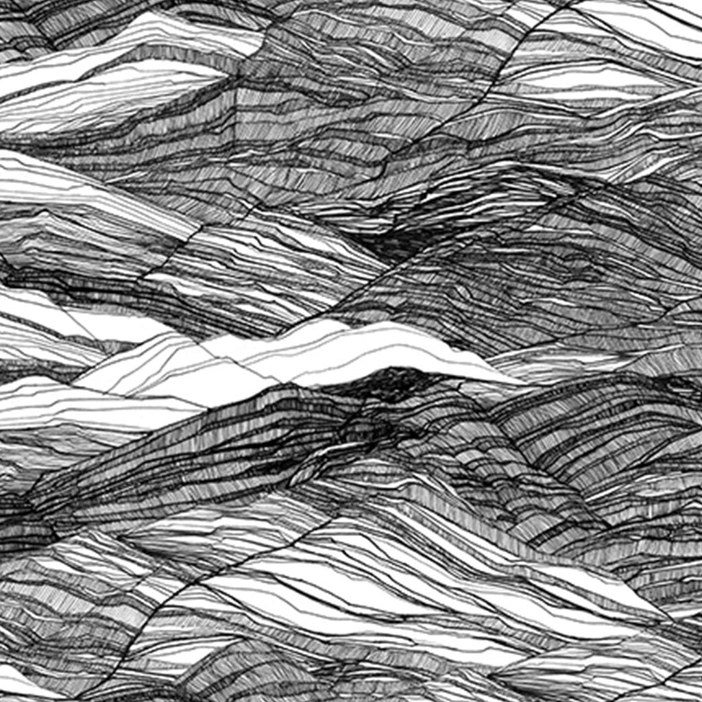 Area Black, Made to Measure Mural Type II