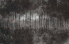 Acassia, Made to Measure Mural Type II