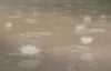 Aqua Beige, Made to Measure Linen