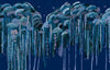 Medusa Azul, Made to Measure Mural Vinyl