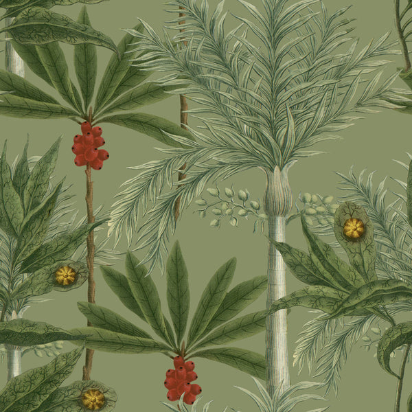 Madagascar - Green, Red, Brown Wallcovering | Mind the Gap