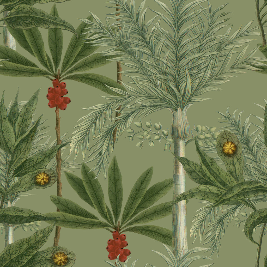 Madagascar Wallpaper | Mind The Gap