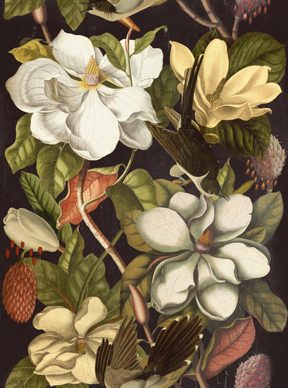 Magnolia - Black, White, Green, Beige Wallcovering | Mind the Gap