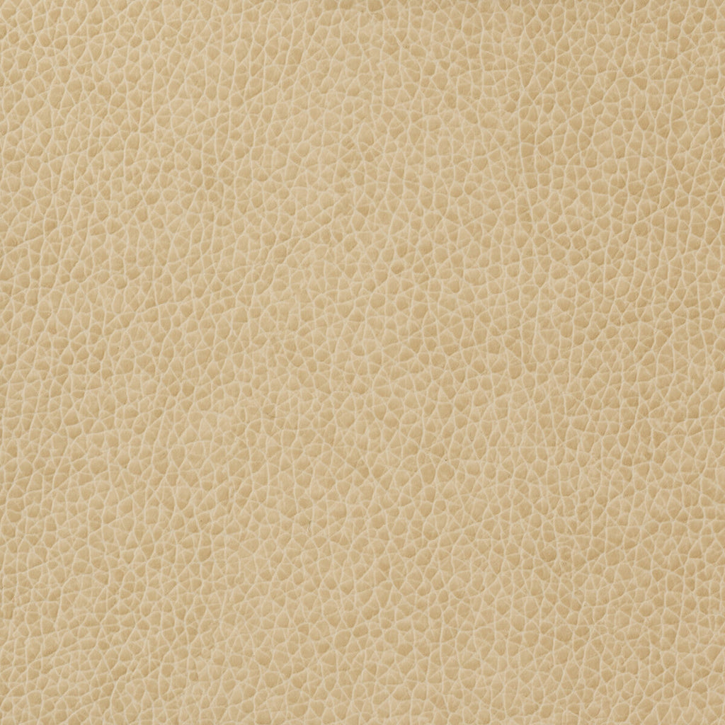 Samples and Purchasing available for Kravet Basics - Matter-1116 Ivory By Kravet Basics |  |Solid Texture Upholstery Vinyl/Faux Leather at Designer Wallcoverings and Fabrics
