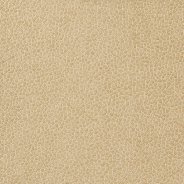 Samples and Purchasing available for Kravet Basics - Matter-1116 Ivory By Kravet Basics |  |Solid Texture Upholstery Vinyl/Faux Leather at Designer Wallcoverings and Fabrics