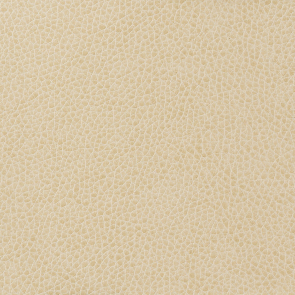Samples and Purchasing available for Kravet Basics - Matter-111 Ivory By Kravet Basics |  |Solid Texture Upholstery Vinyl/Faux Leather at Designer Wallcoverings and Fabrics