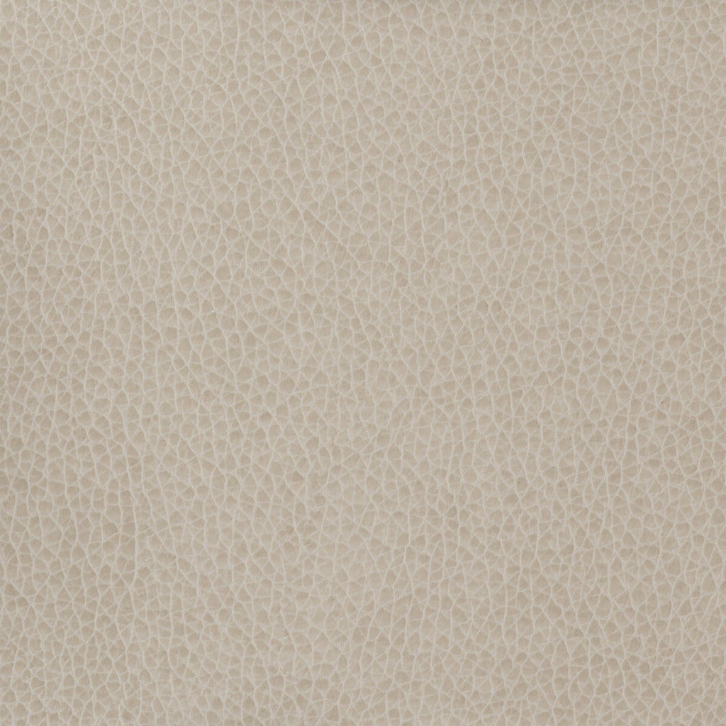 Samples and Purchasing available for Kravet Basics - Matter-11 Light Grey By Kravet Basics |  |Solid Texture Upholstery Vinyl/Faux Leather at Designer Wallcoverings and Fabrics