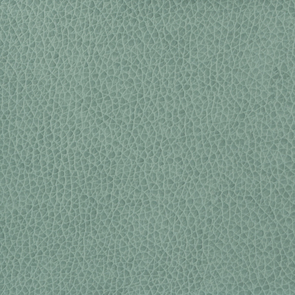 Samples and Purchasing available for Kravet Basics - Matter-15 Light Blue By Kravet Basics |  |Solid Texture Upholstery Vinyl/Faux Leather at Designer Wallcoverings and Fabrics