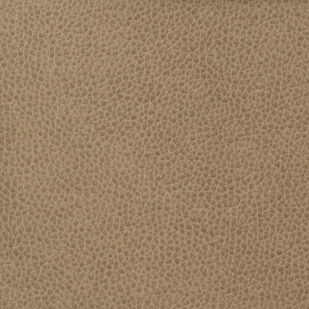 Samples and Purchasing available for Kravet Basics - Matter-1611 Beige By Kravet Basics |  |Solid Texture Upholstery Vinyl/Faux Leather at Designer Wallcoverings and Fabrics