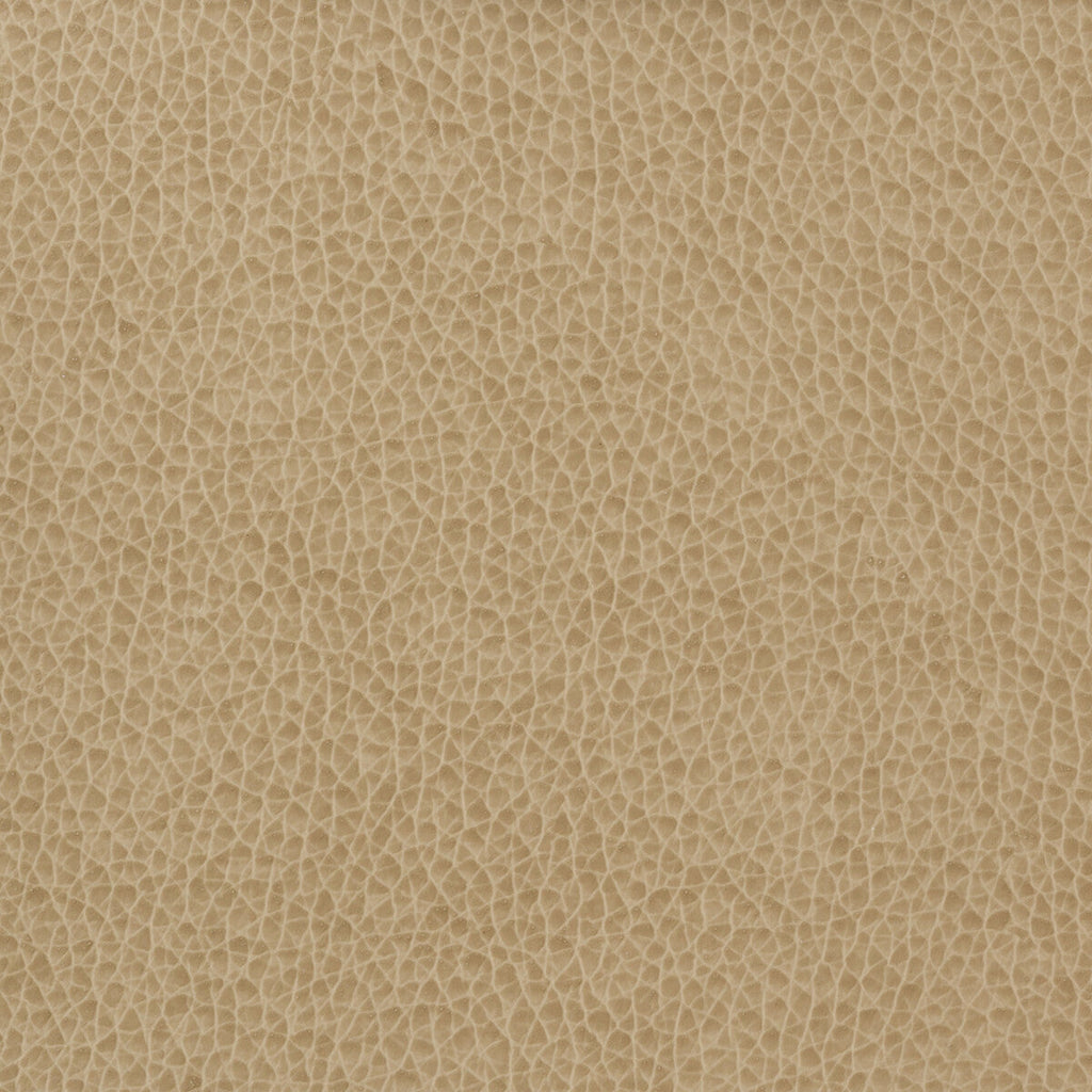 Samples and Purchasing available for Kravet Basics - Matter-1616 Wheat By Kravet Basics |  |Solid Texture Upholstery Vinyl/Faux Leather at Designer Wallcoverings and Fabrics