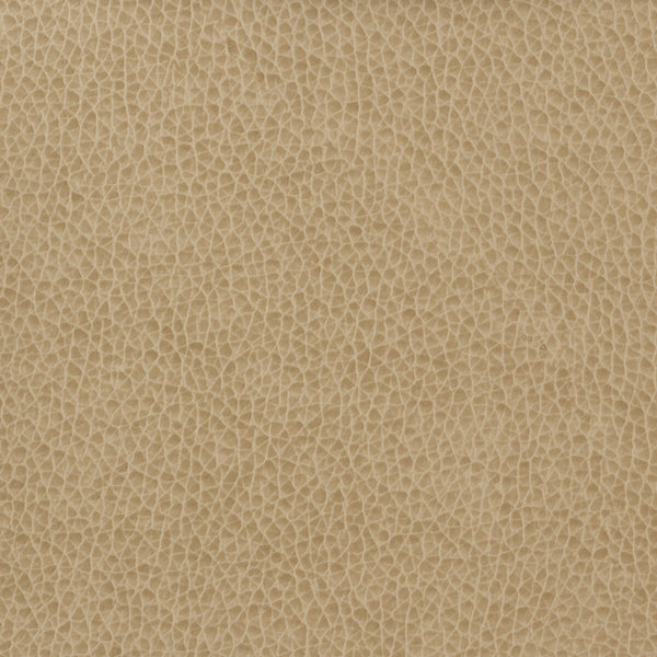 Samples and Purchasing available for Kravet Basics - Matter-1616 Wheat By Kravet Basics |  |Solid Texture Upholstery Vinyl/Faux Leather at Designer Wallcoverings and Fabrics