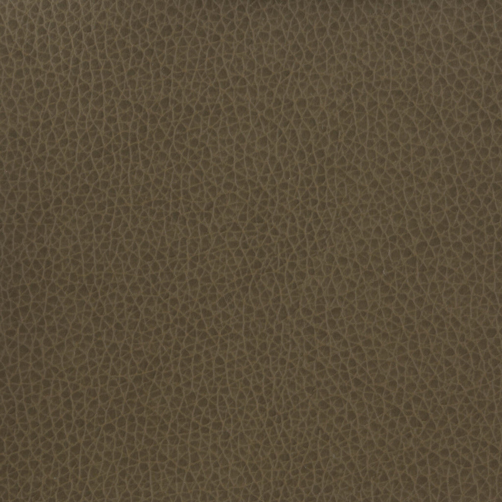 Samples and Purchasing available for Kravet Basics - Matter-21 Charcoal By Kravet Basics |  |Solid Texture Upholstery Vinyl/Faux Leather at Designer Wallcoverings and Fabrics