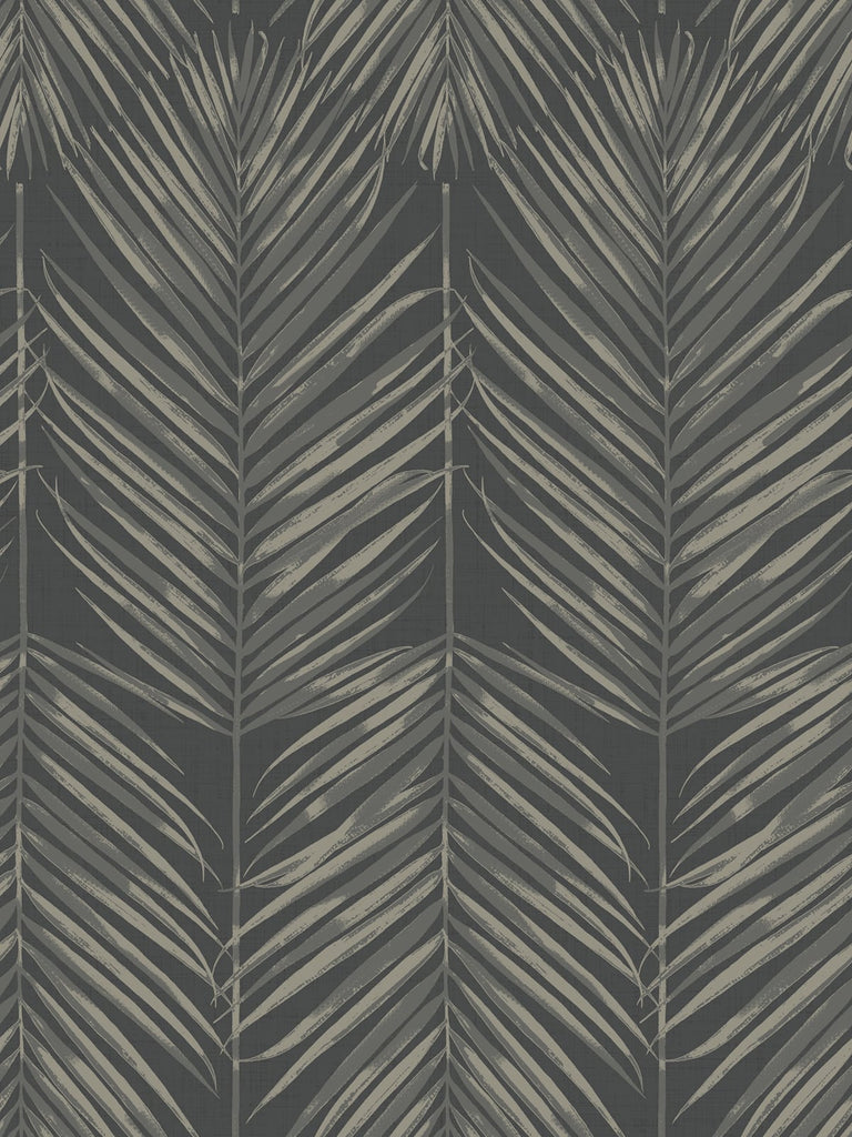 Malibu Paradise Palm Wallpaper - Coastal Palm Leaf - Black Sands | Malibu Wallpaper