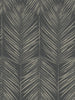 Malibu Paradise Palm Wallpaper - Coastal Palm Leaf - Black Sands | Malibu Wallpaper