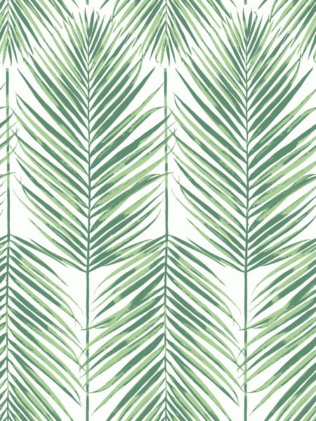 Malibu Paradise Palm Wallpaper - Coastal Palm Leaf - Greenery | Malibu Wallpaper