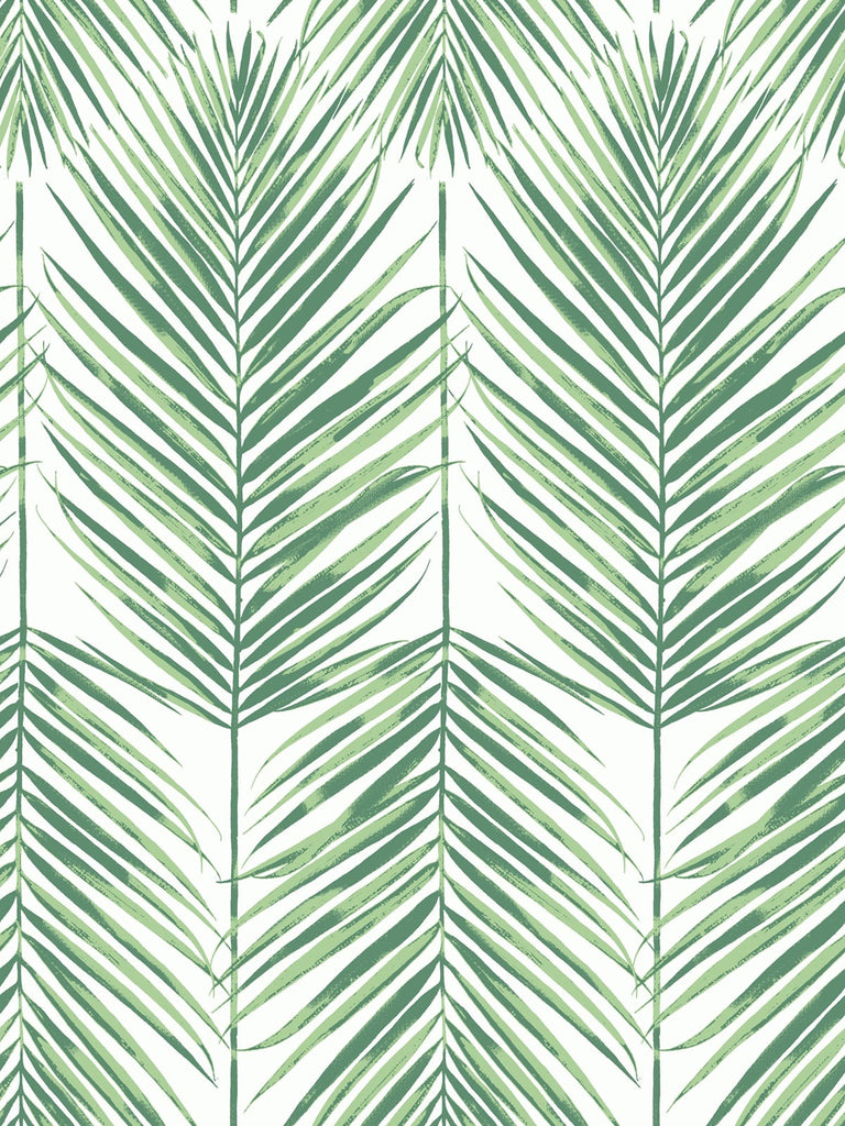 Malibu Paradise Palm Wallpaper - Coastal Palm Leaf - Greenery | Malibu Wallpaper